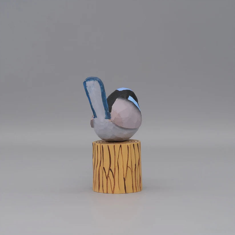 Superb Fairywren