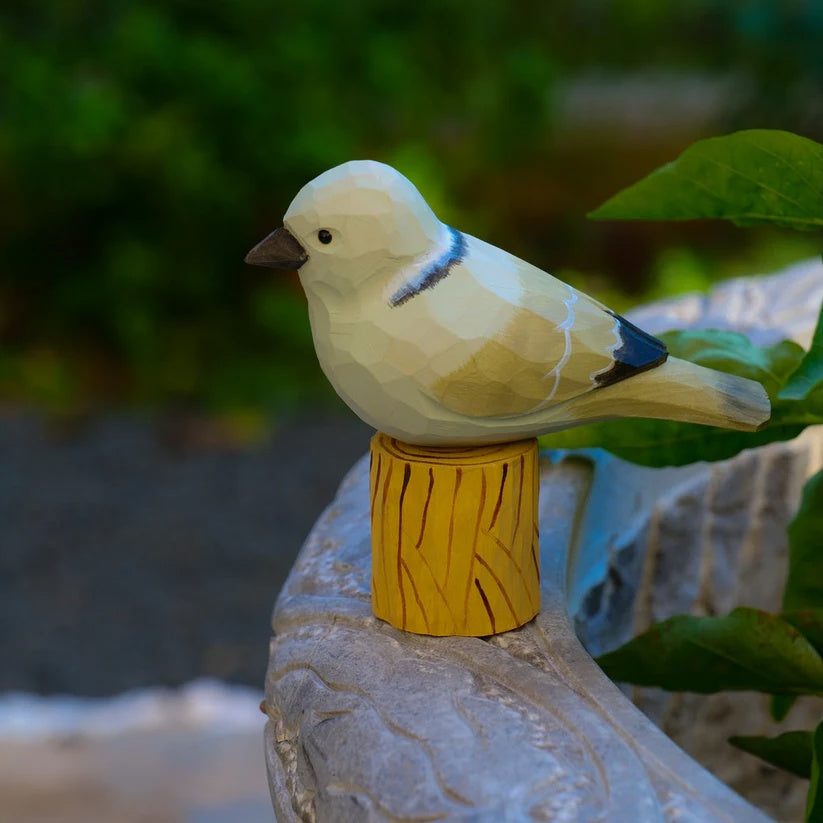 Dove