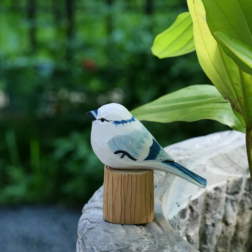 White Blue Jay