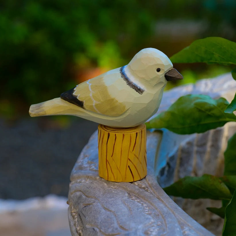 Dove