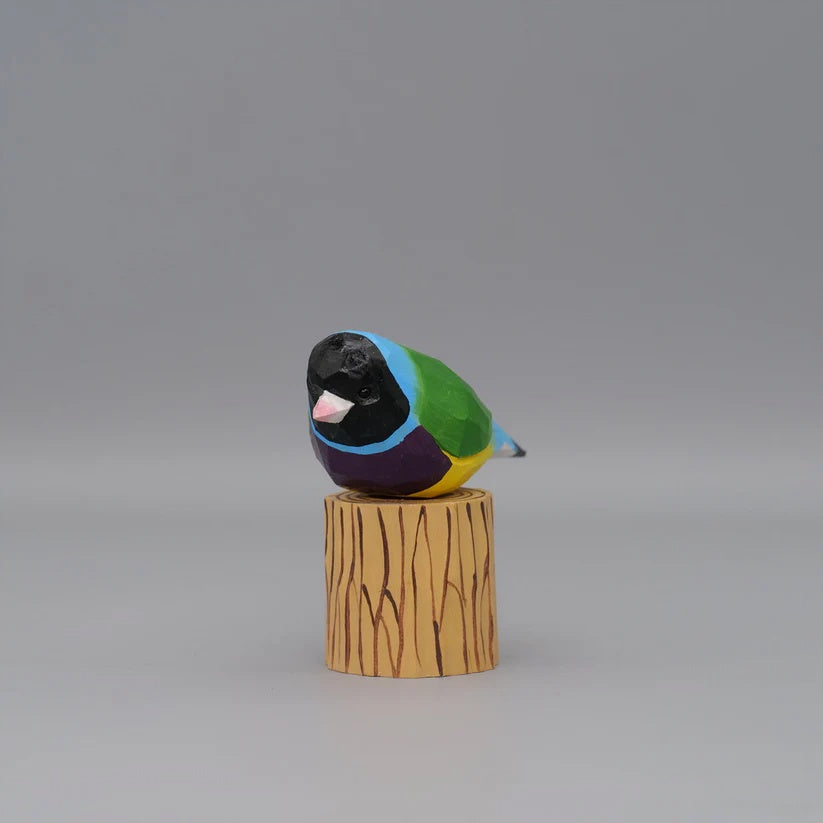 Gouldian Finch