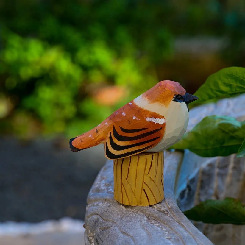 Sparrow