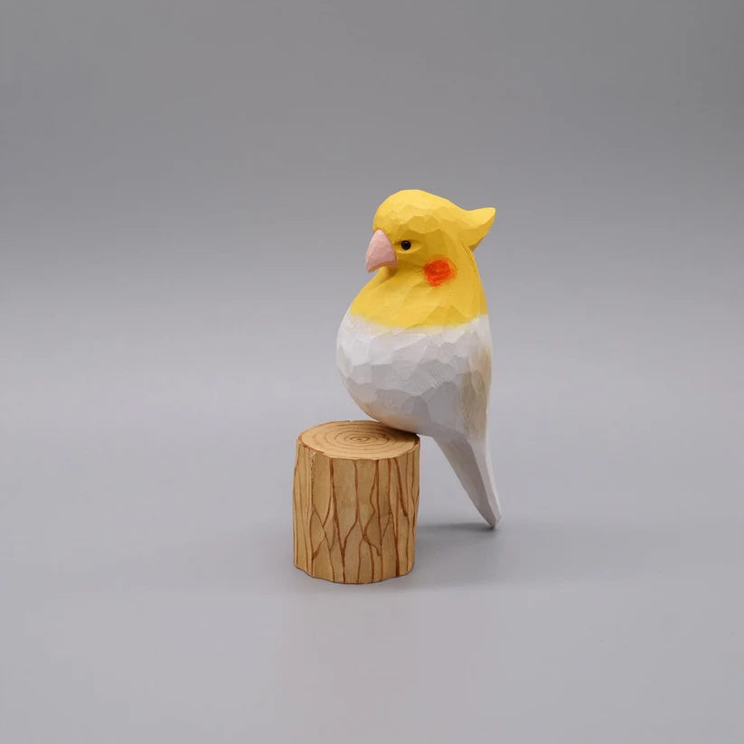 White Cockatiel