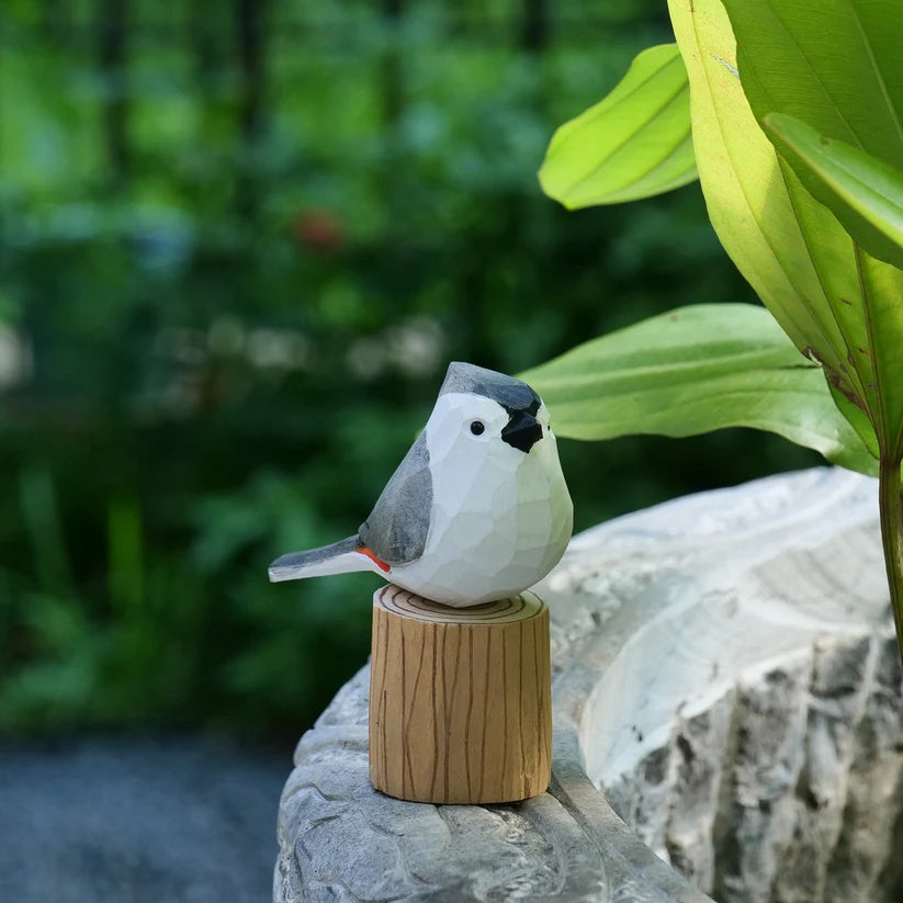 Tufted Titmouse