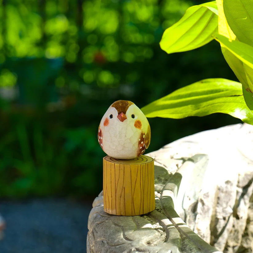 Zebra Finch