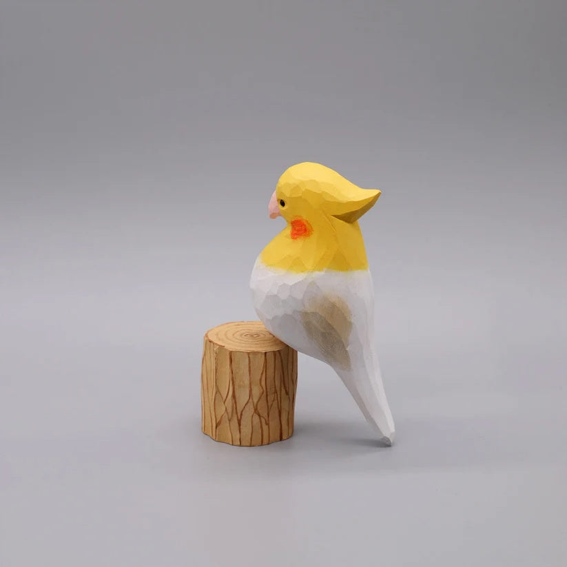 White Cockatiel