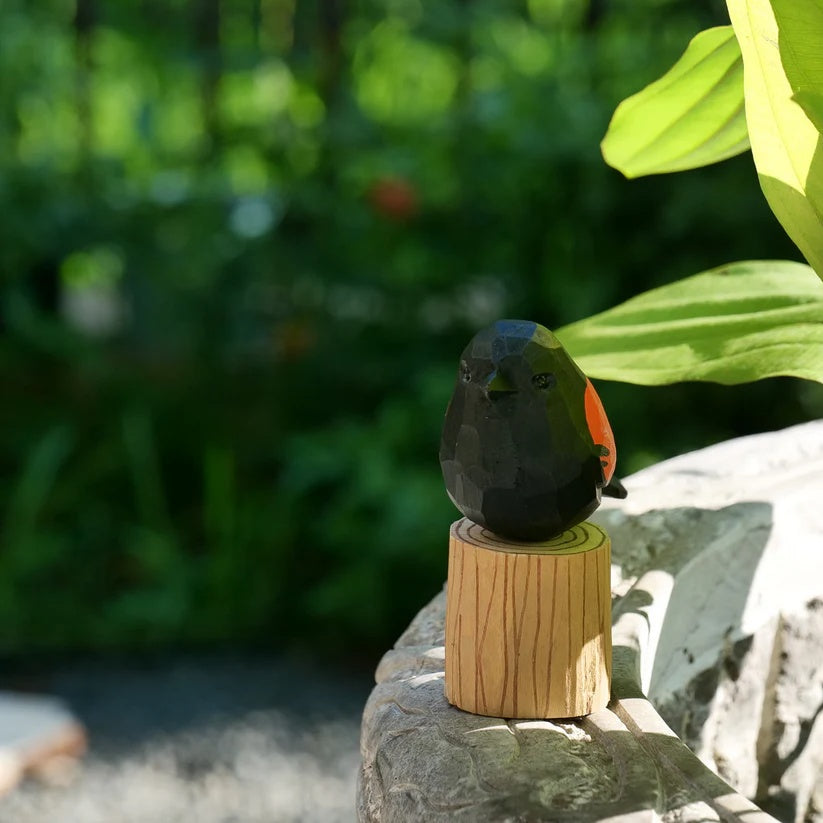 Red-Winged Blackbird