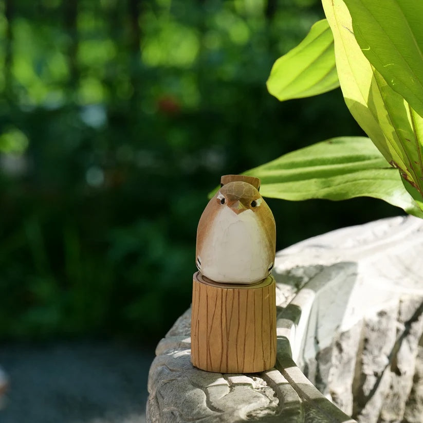 Wren