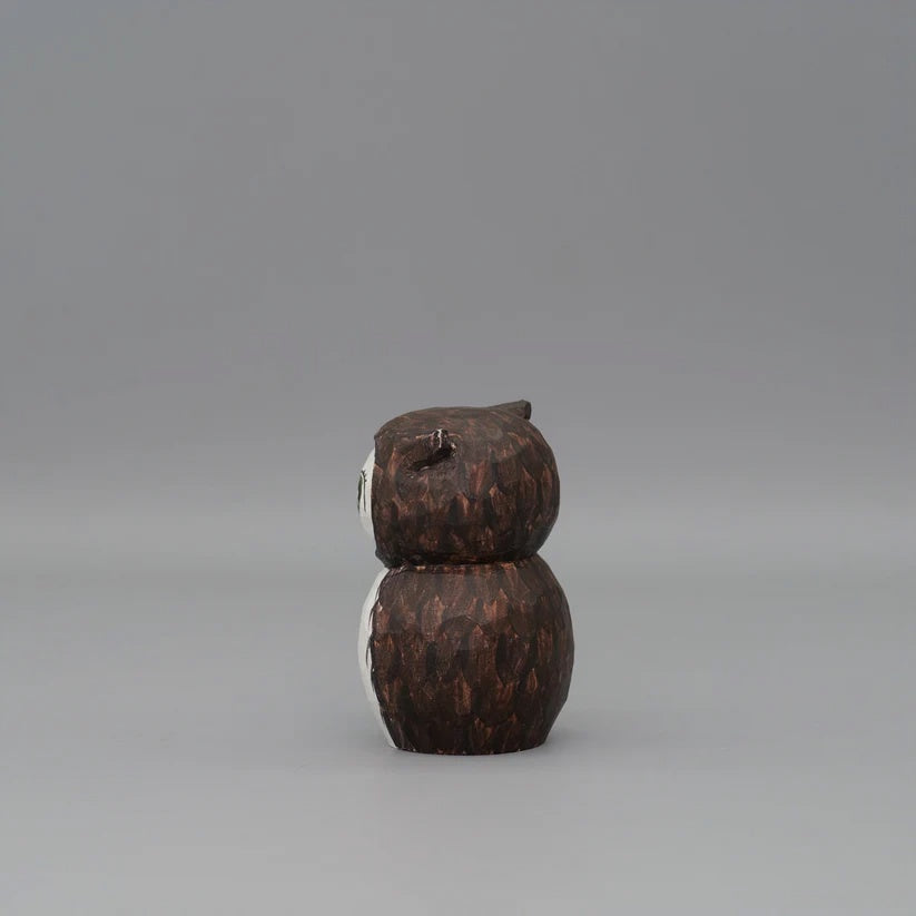 Male Owl