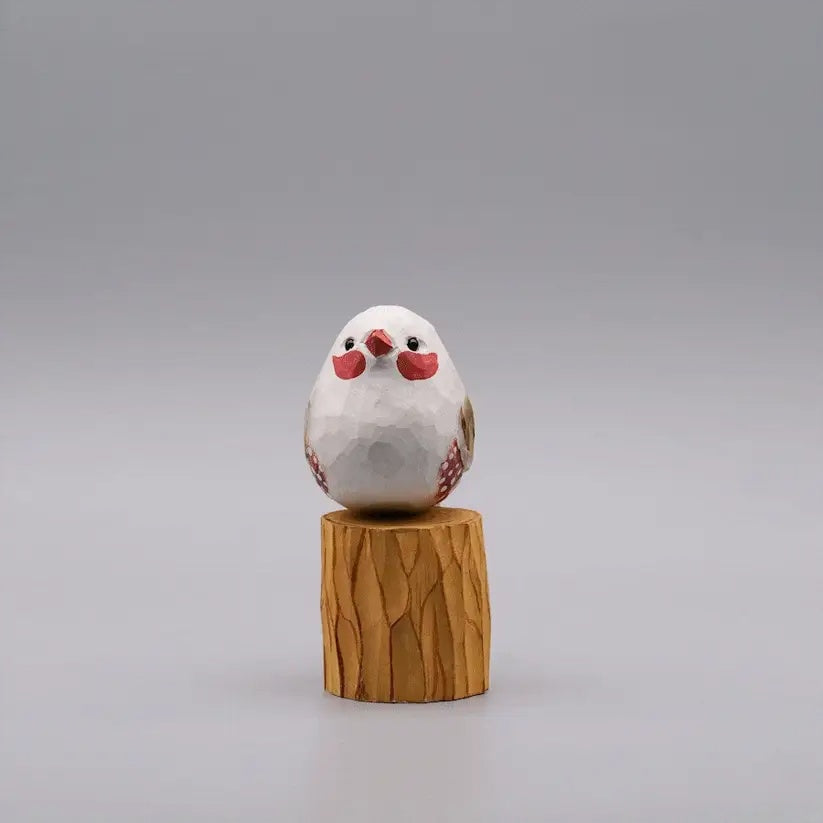 White Zebra Finch