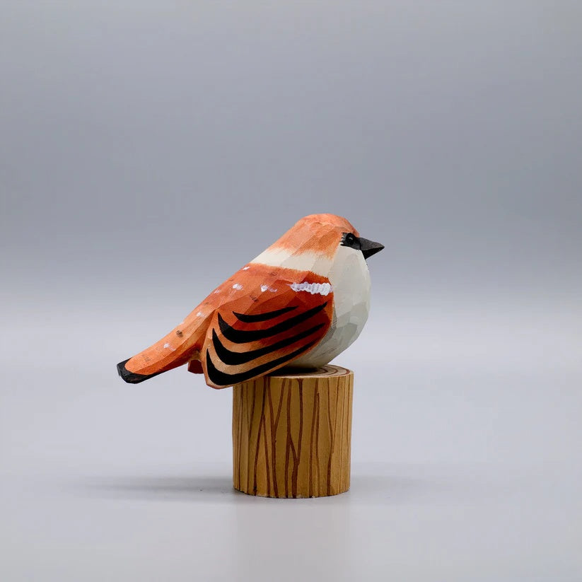 Sparrow