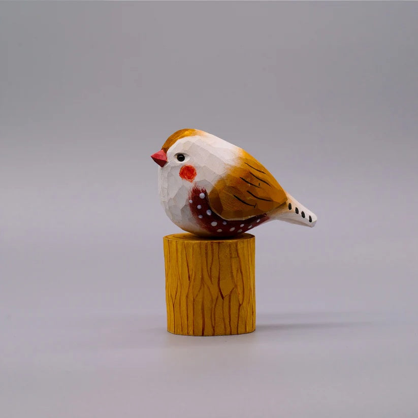 Zebra Finch