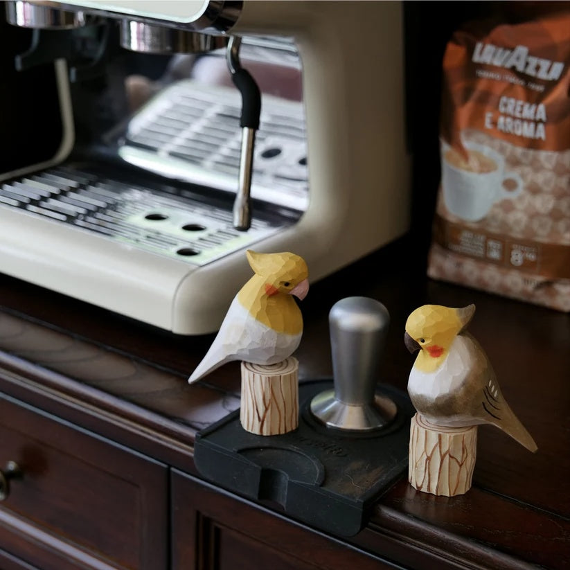White Cockatiel