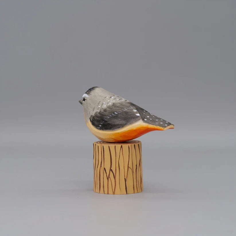 Spotted Pardalote
