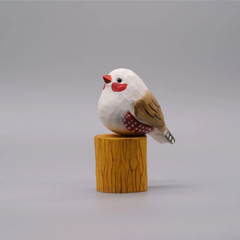 White Zebra Finch