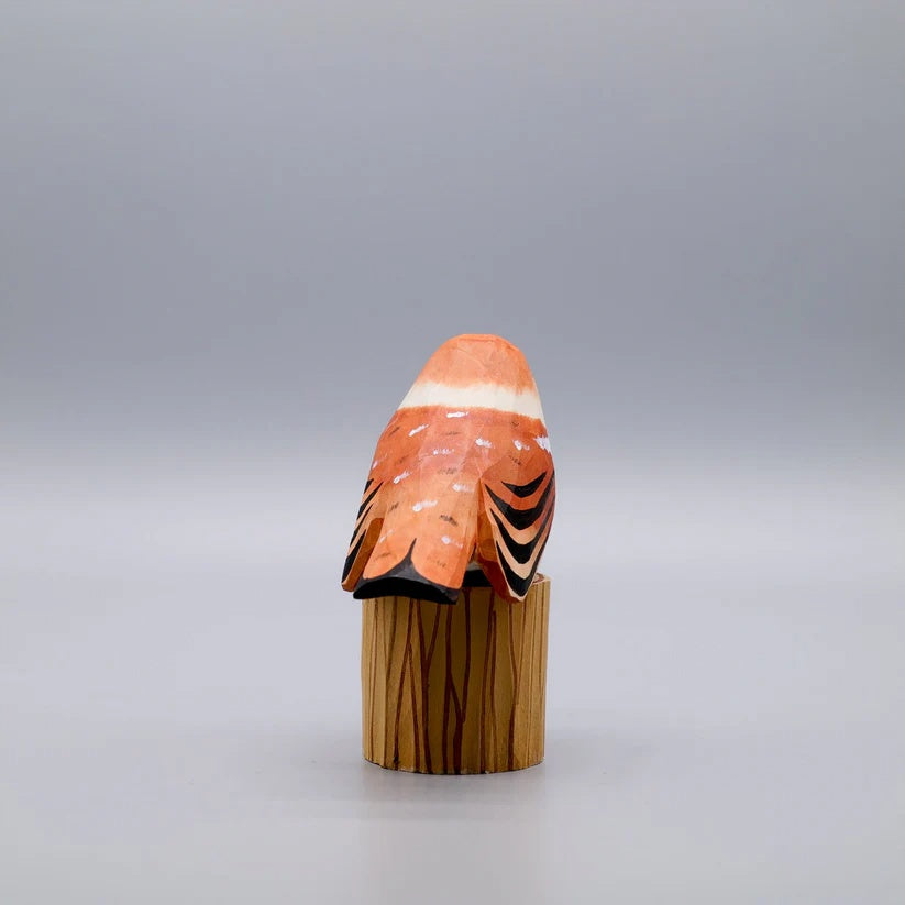 Sparrow