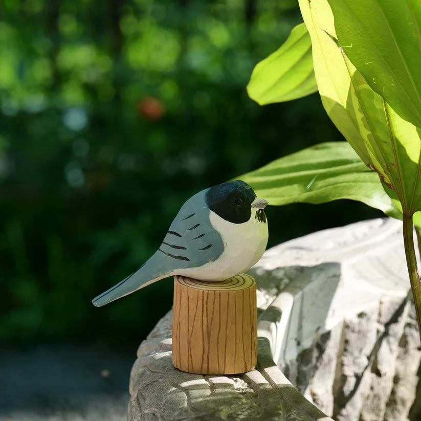 Chickadee