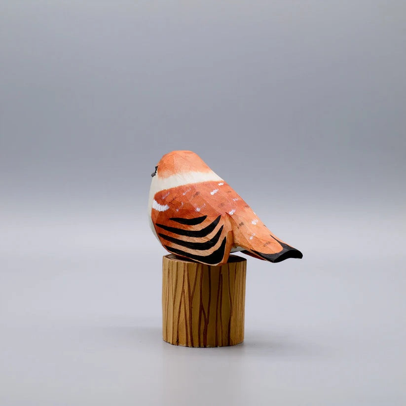 Sparrow