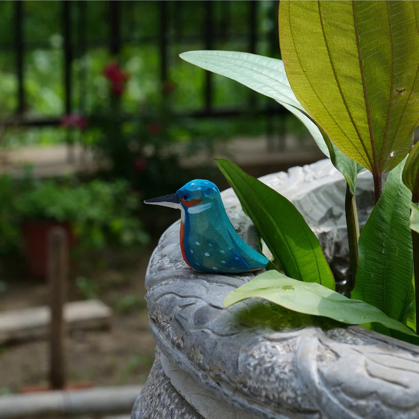 Kingfisher