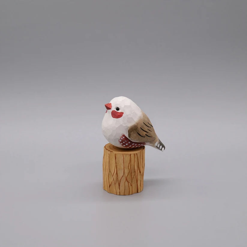 White Zebra Finch