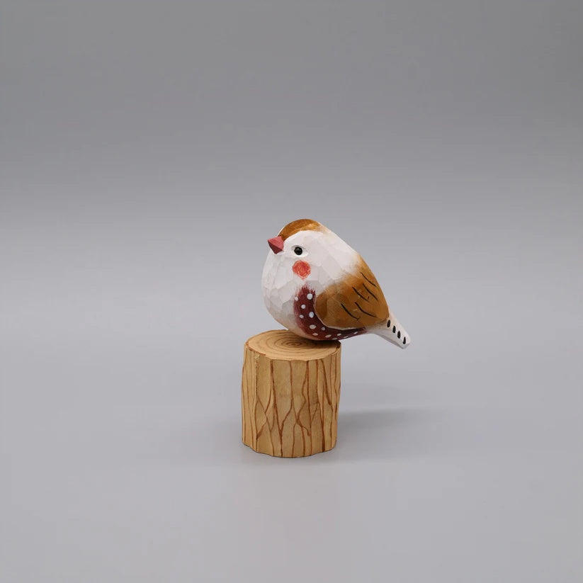 Zebra Finch