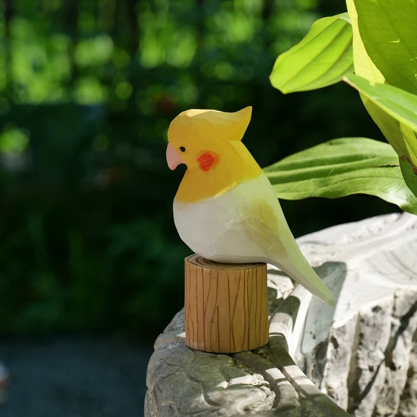 White Cockatiel