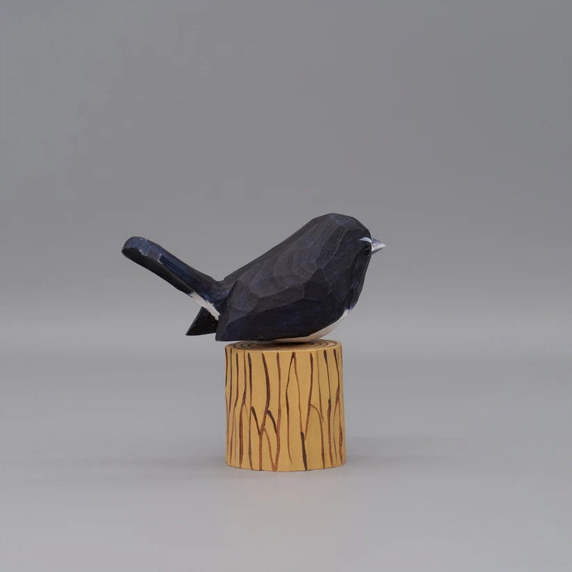 Willie Wagtail