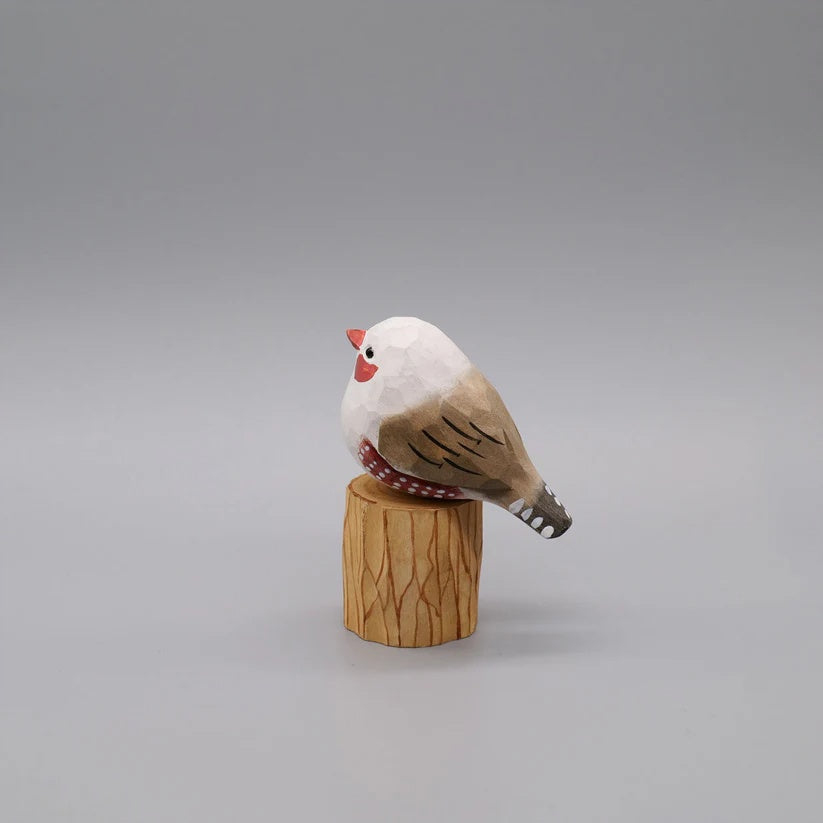 White Zebra Finch