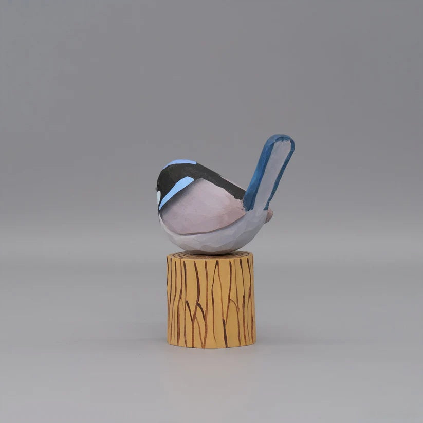 Superb Fairywren