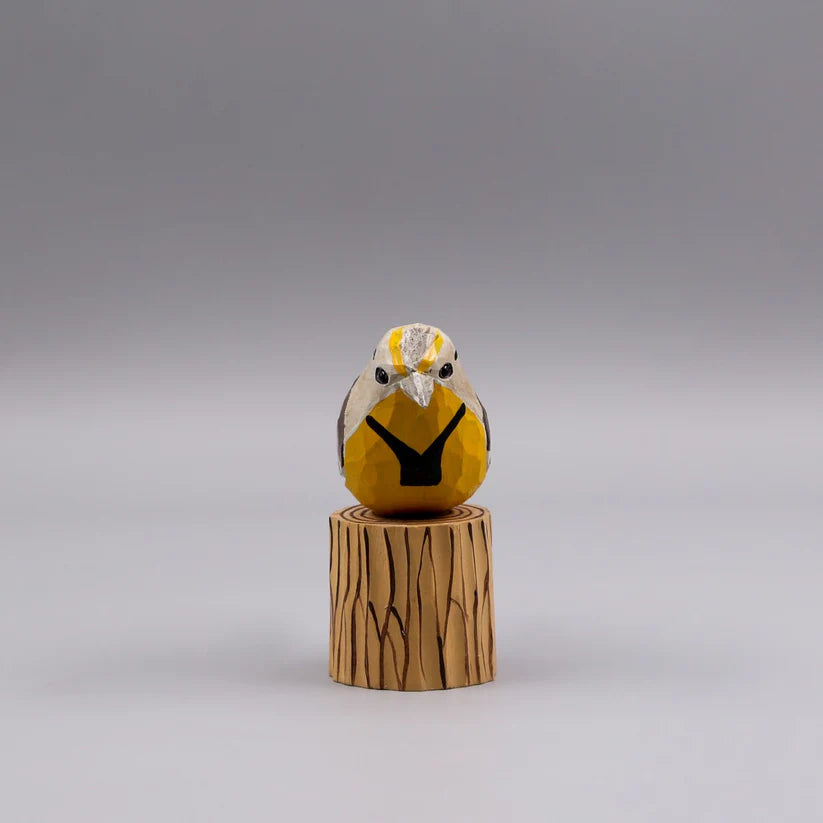 Western Meadowlark