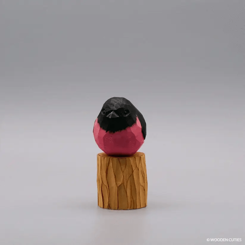Pink Robin