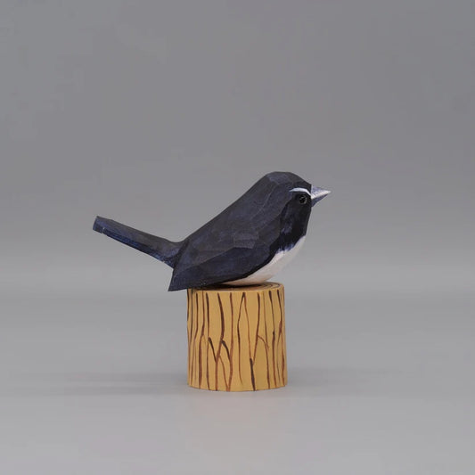 Willie Wagtail