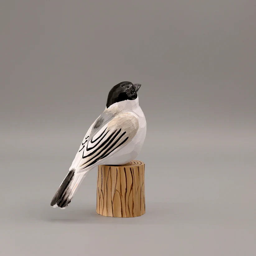 Black-Capped Chickadee+ Stand