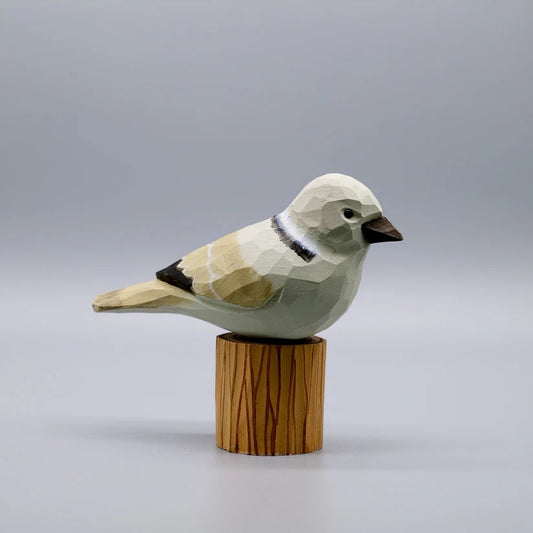 Dove
