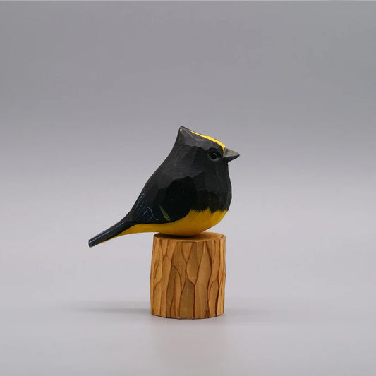Sultan Tit
