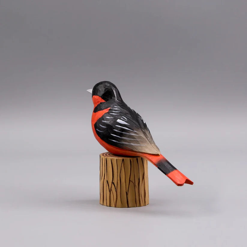 Baltimore Oriole+ Stand