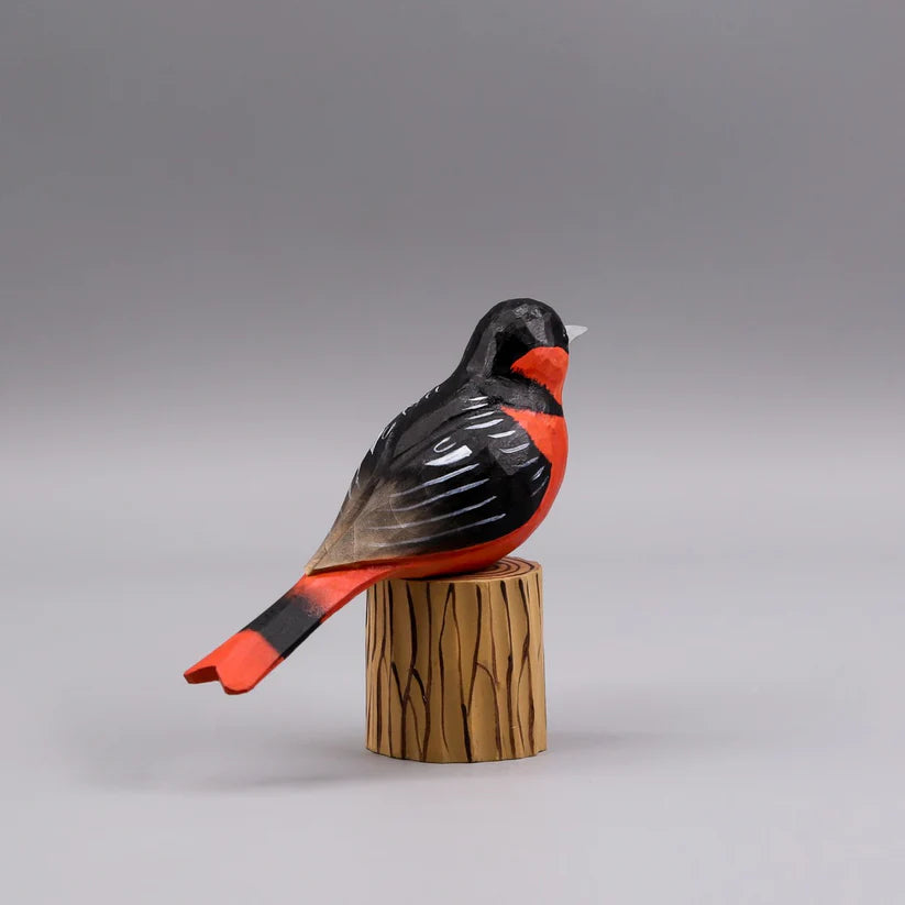 Baltimore Oriole+ Stand